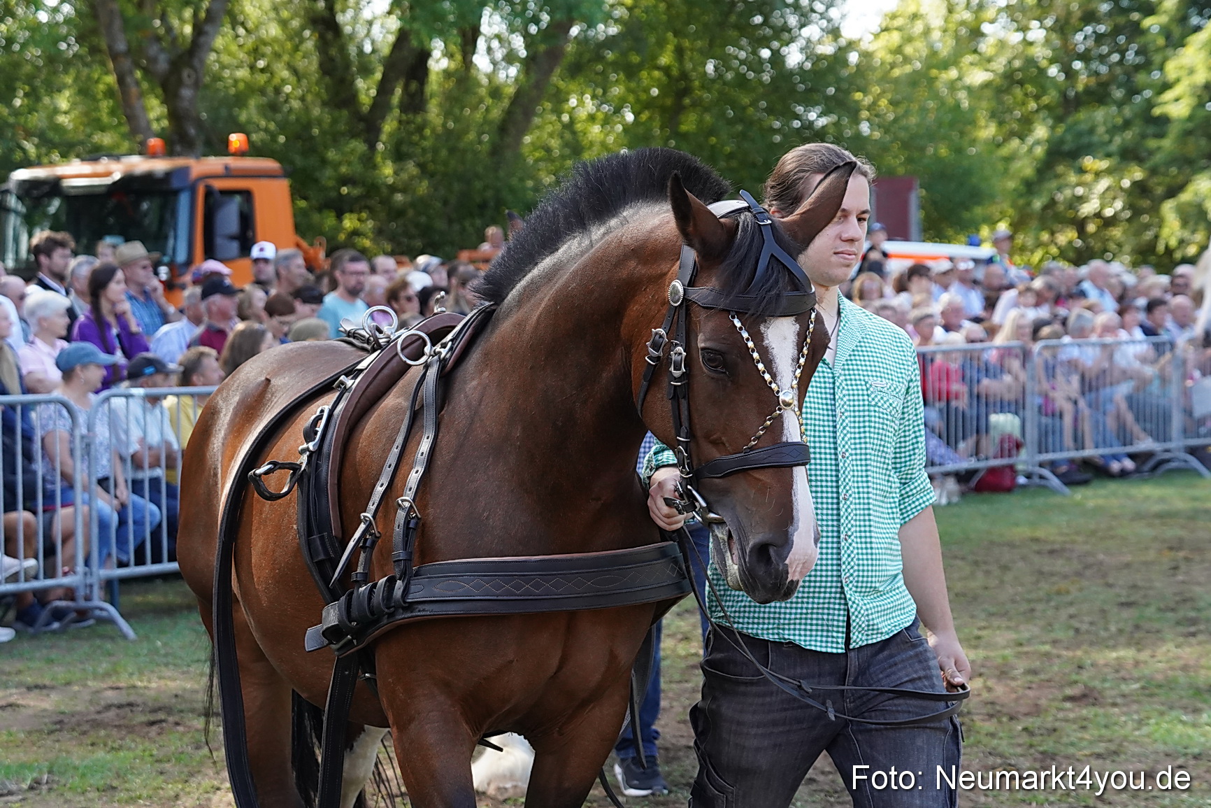 Pferde und Fohlenschau 2022 0164 